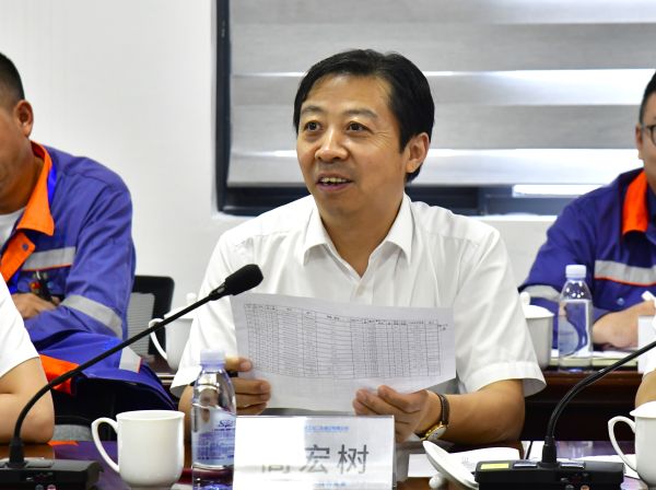 宏树网络